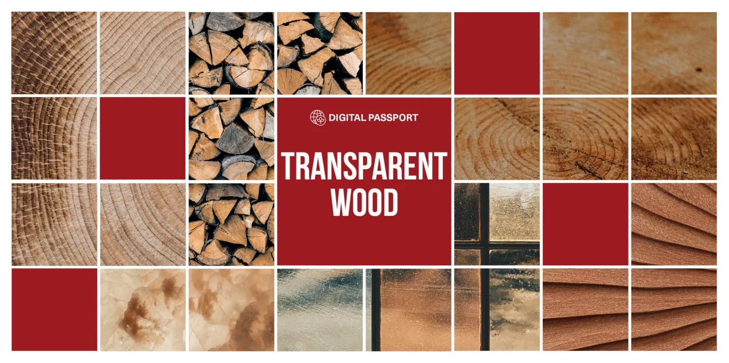 Collage of transparent materials and wood