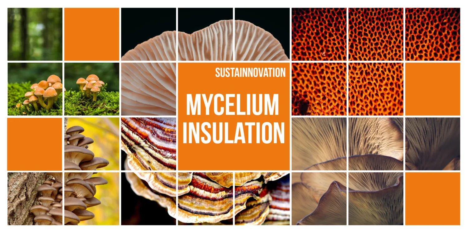 Collage of square images of mushrooms surrounding a title reading 'Sustainnovation - Mycelium Insulation'