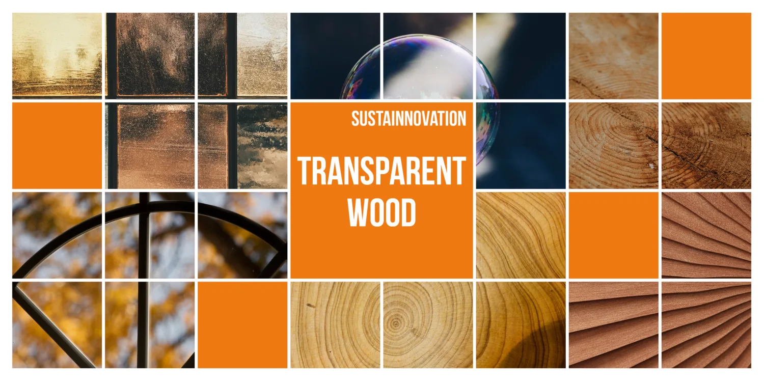 Collage of square images of wood grain and windows, surrounding a title of 'Sustainnovation - Transparent Wood'