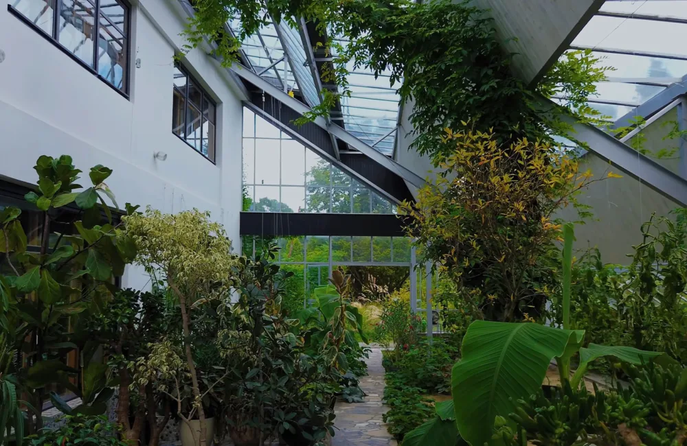 Indoor greenhouse with a glass ceiling and angled beams, filled with various green plants and shrubs along a stone pathway. Large windows on the left wall and glass doors at the far end reveal outdoor greenery.