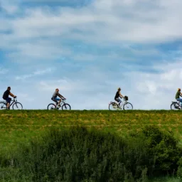 Four people ride bicycles in single file along a grassy ridge, silhouetted against a wide sky with scattered clouds. Green shrubs and vegetation appear below the ridge.