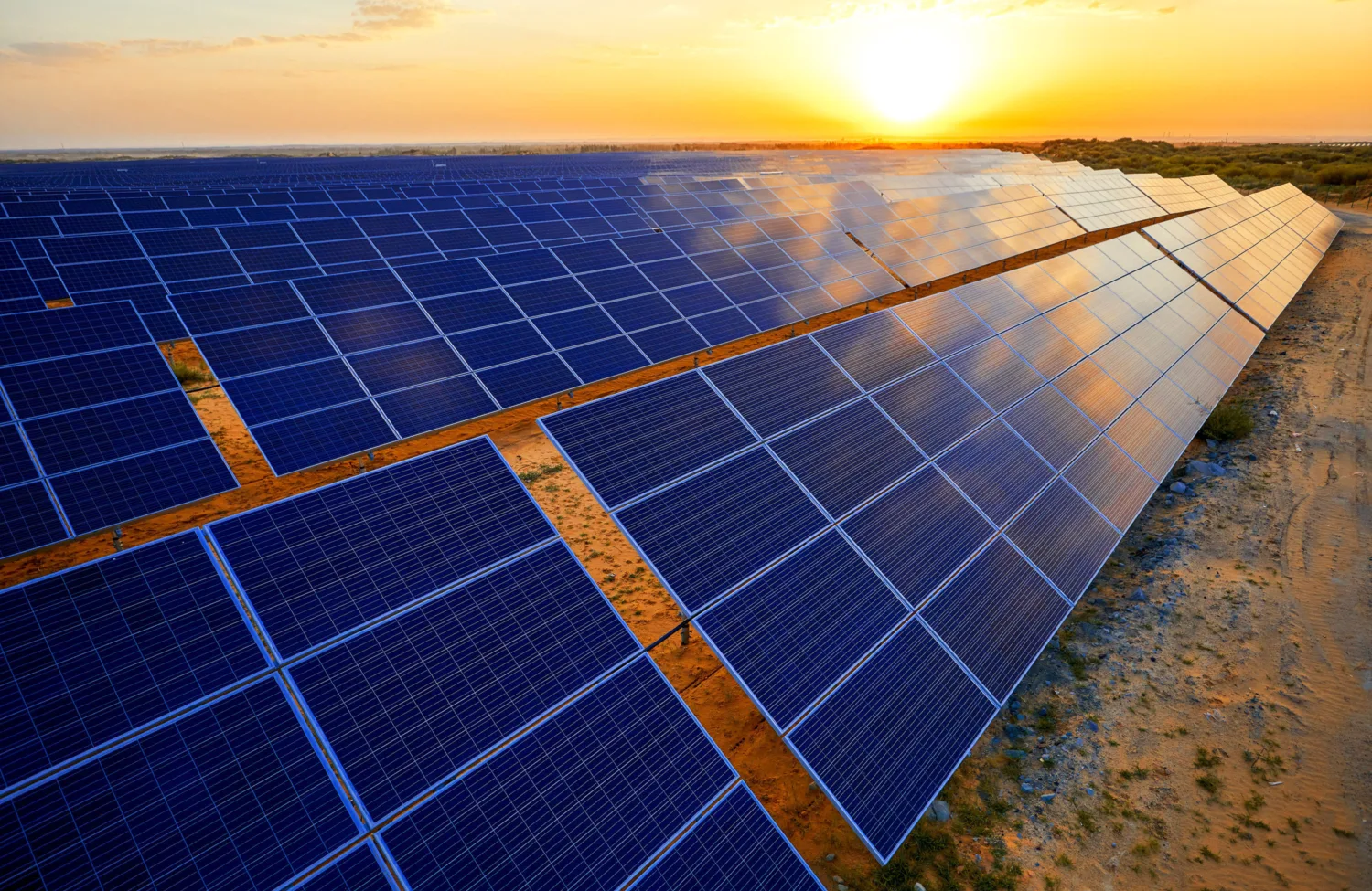 Large array of blue solar panels installed on dry ground, extending into the distance under a clear sky, with the sun low on the horizon casting bright light across the panels.