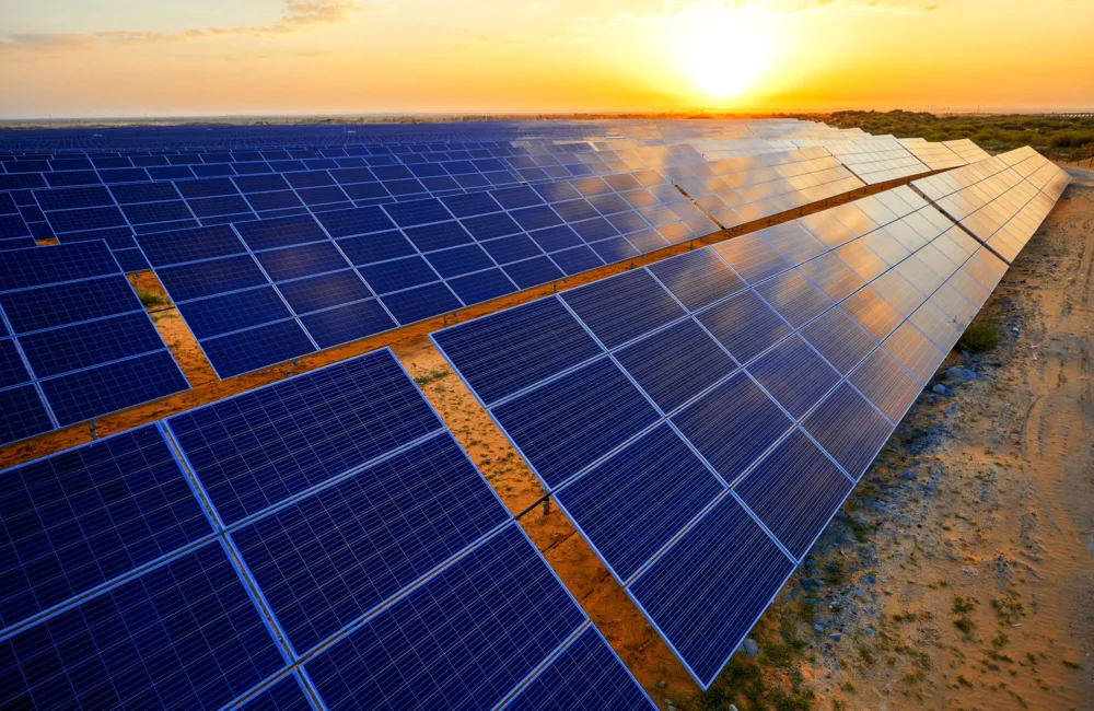 Large array of blue solar panels installed on dry ground, extending into the distance under a clear sky, with the sun low on the horizon casting bright light across the panels.