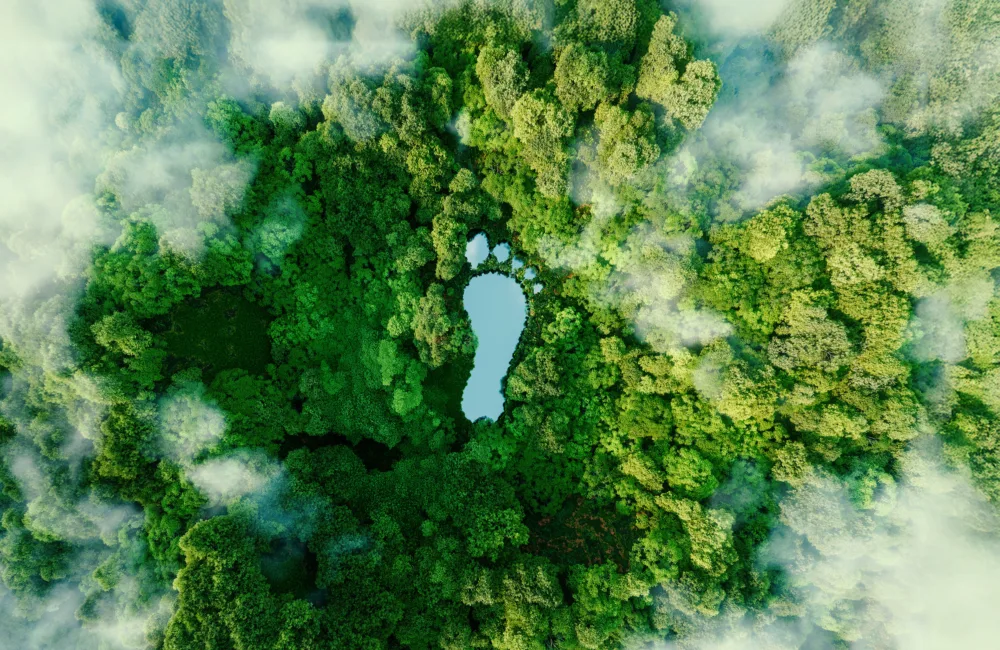 Aerial view of a dense green forest with a blue lake shaped like a human footprint at the center. Mist or clouds partially cover areas of the forest.