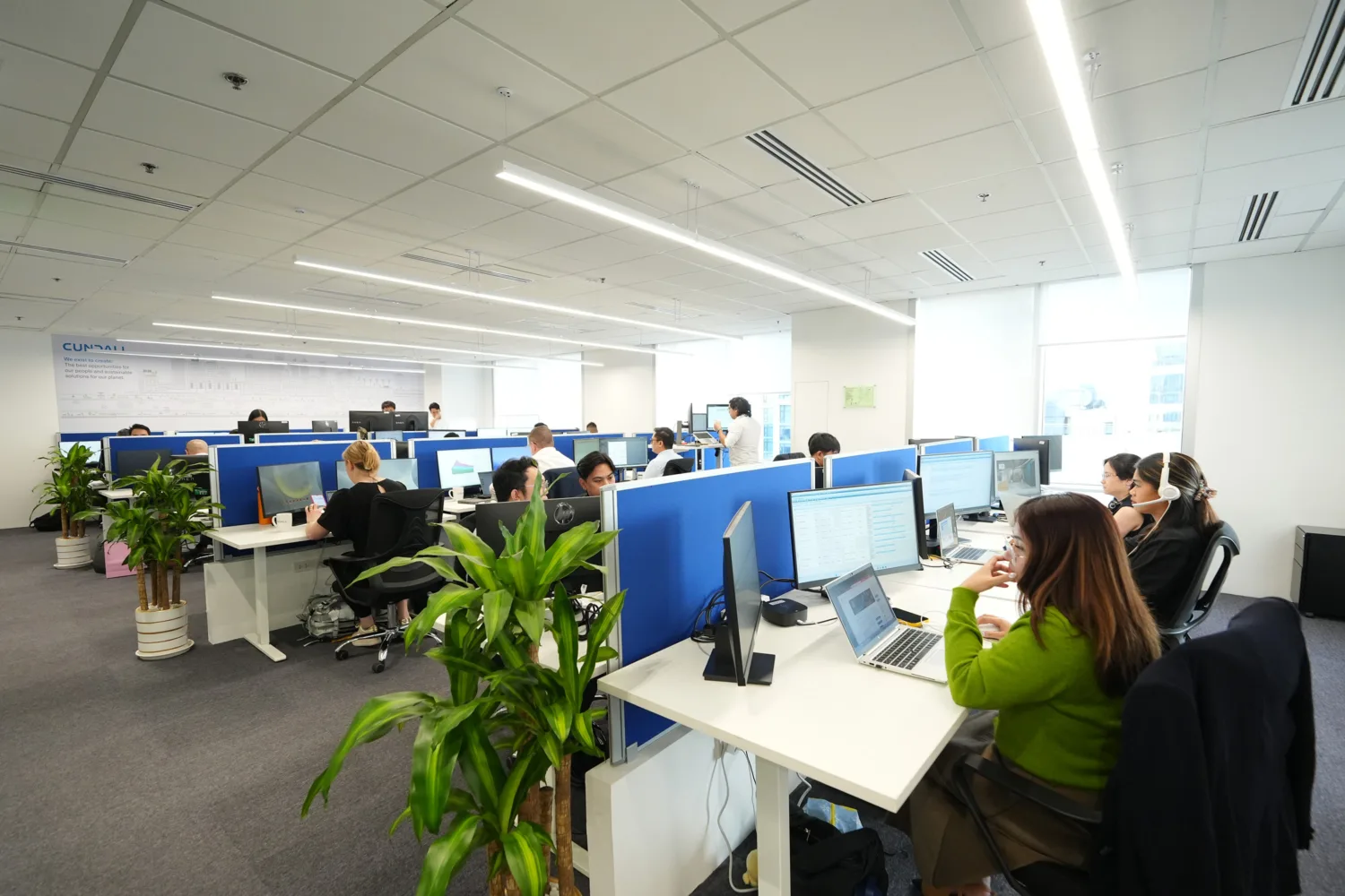 A bright open‑plan office with rows of white desks, blue partition screens, computers, and people working. Large windows bring in natural light, and several green plants are placed throughout the workspace.