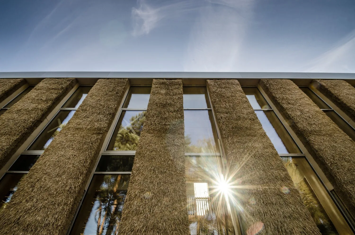 Reflection of the sun on a glazed and living wall building exterior