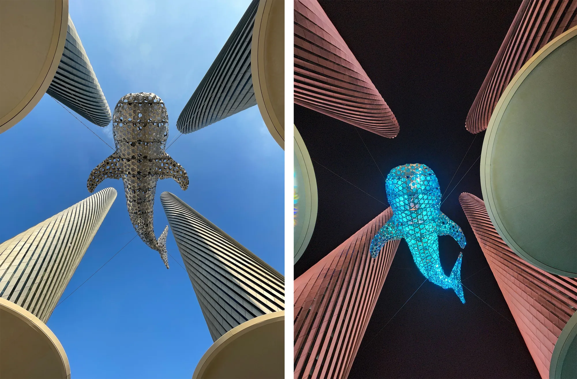 'Al Nehem' whale shark by day and night