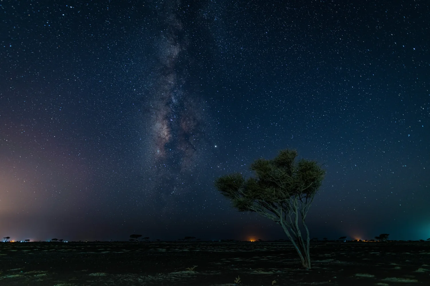 Dar sky with visible stars and a tree in the foreground