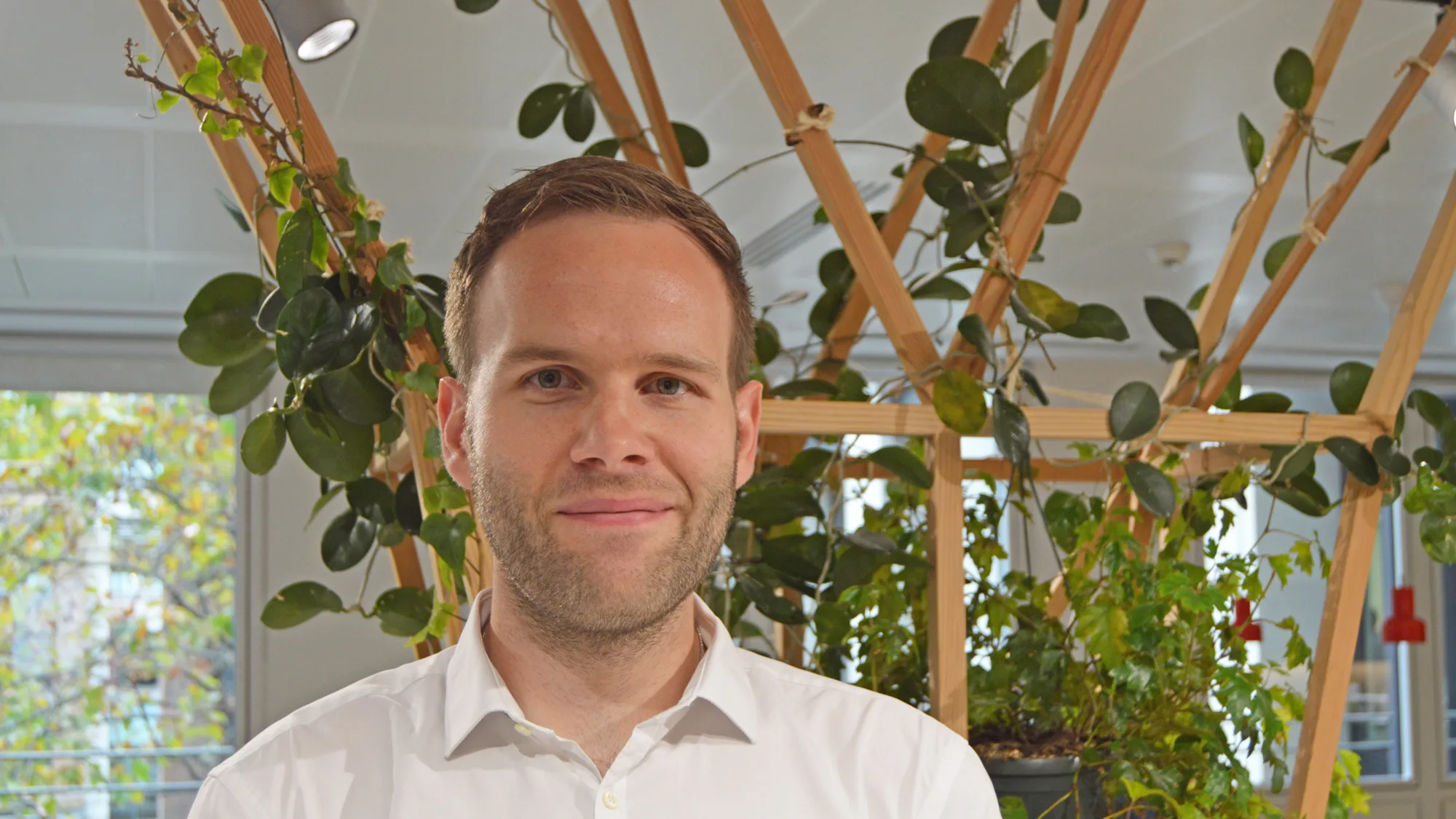 David in a white open collar shirt in front of an interior plant trellis