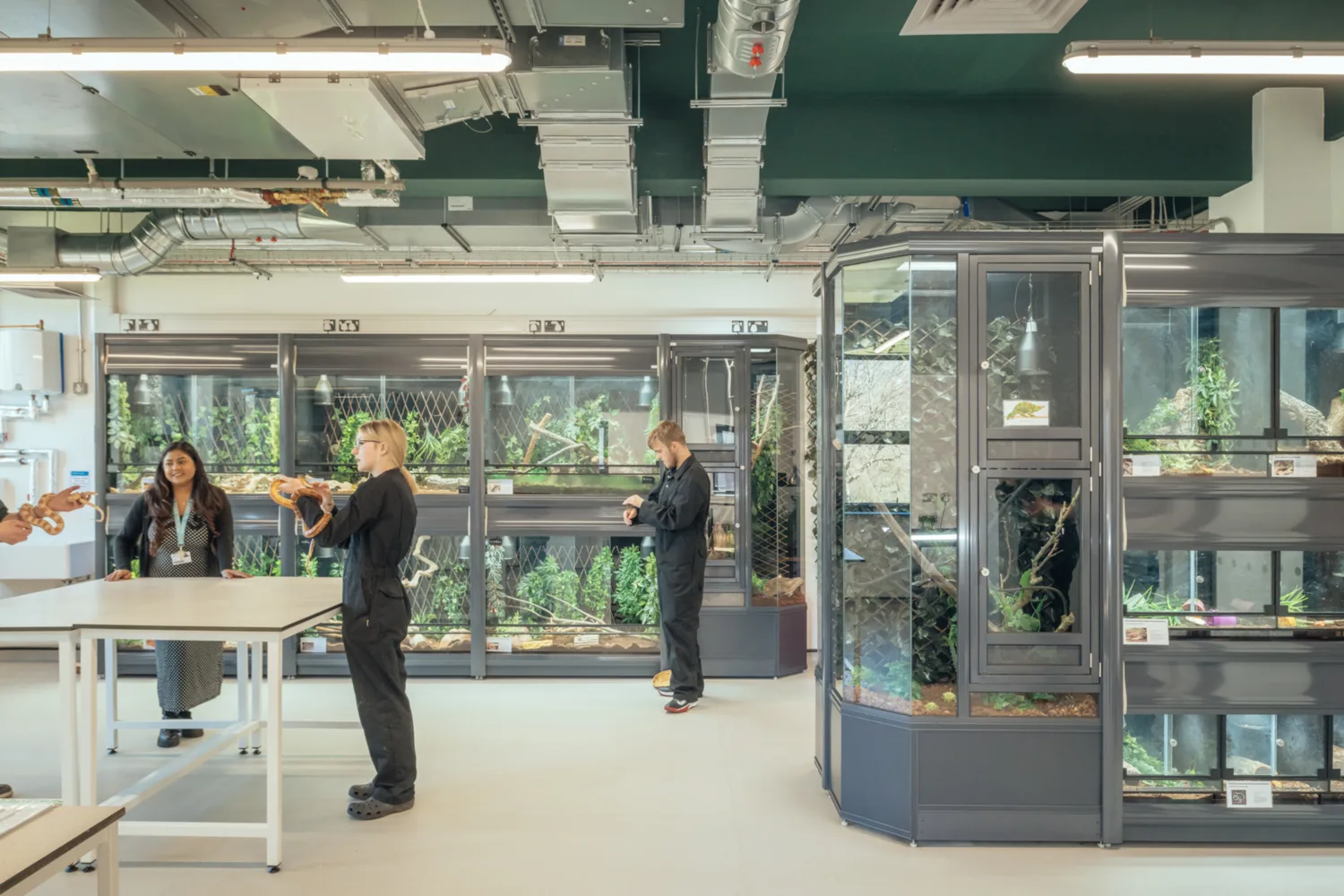 Inside the Animal Studies Centre with people holding animals and other animals behind in glass around the room.