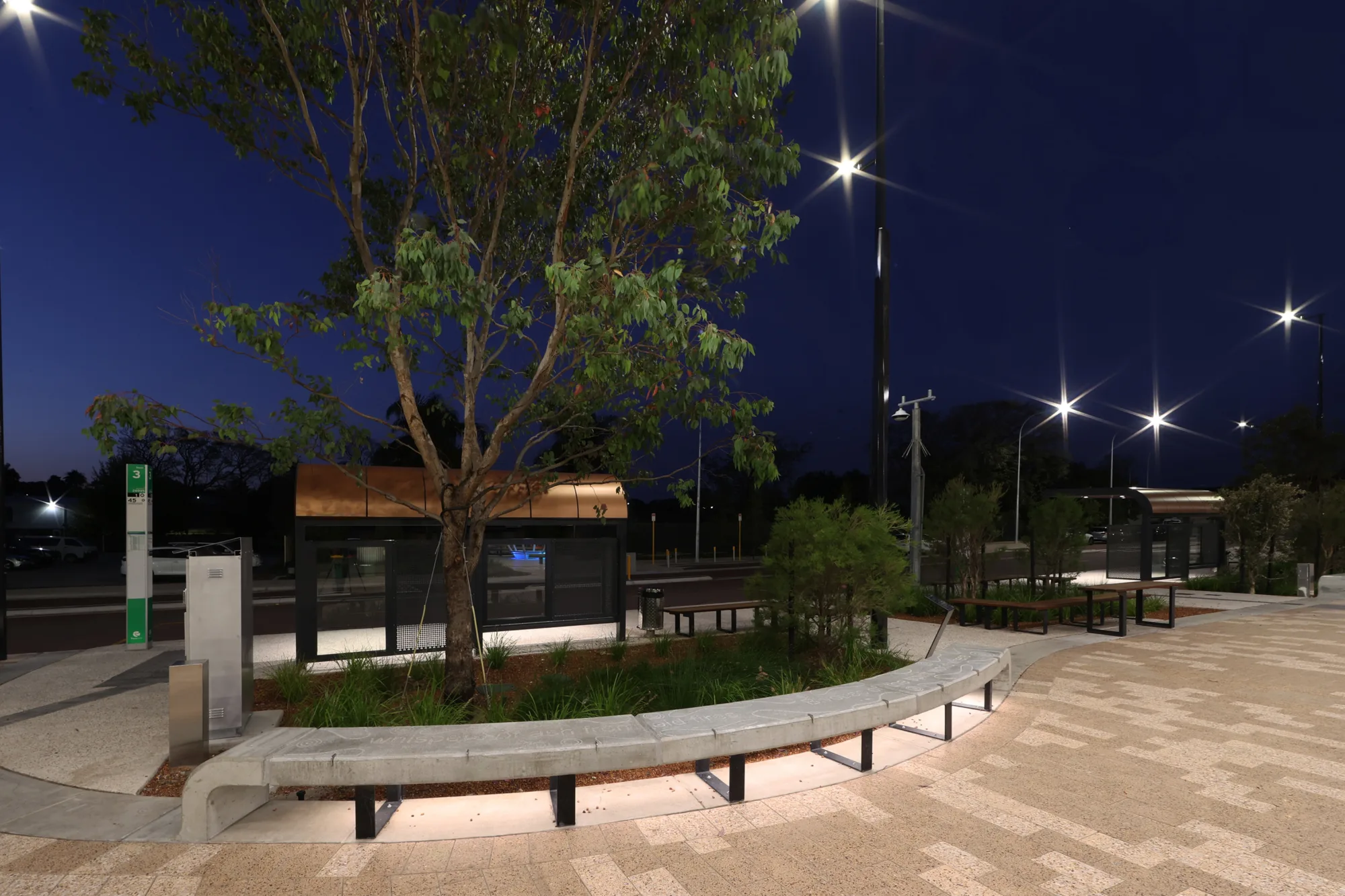 Nightime shot of Climate resilient plants located in Bayswater Station precinct