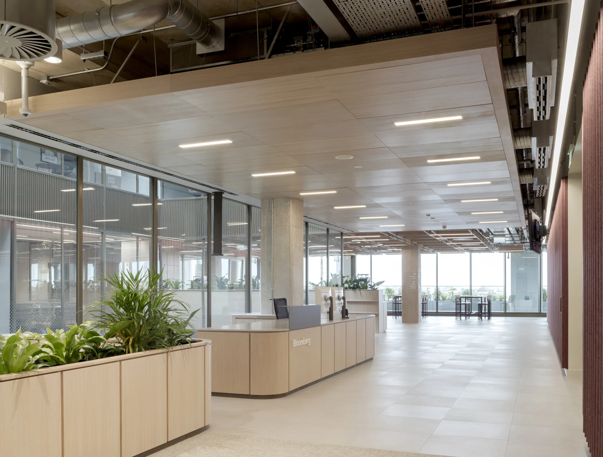 Spacious office lobby with light wood ceilings, large floor‑to‑ceiling windows, tiled flooring, and built‑in planters filled with green plants. A reception desk sits near glass-walled meeting areas and exposed ceiling fixtures.
