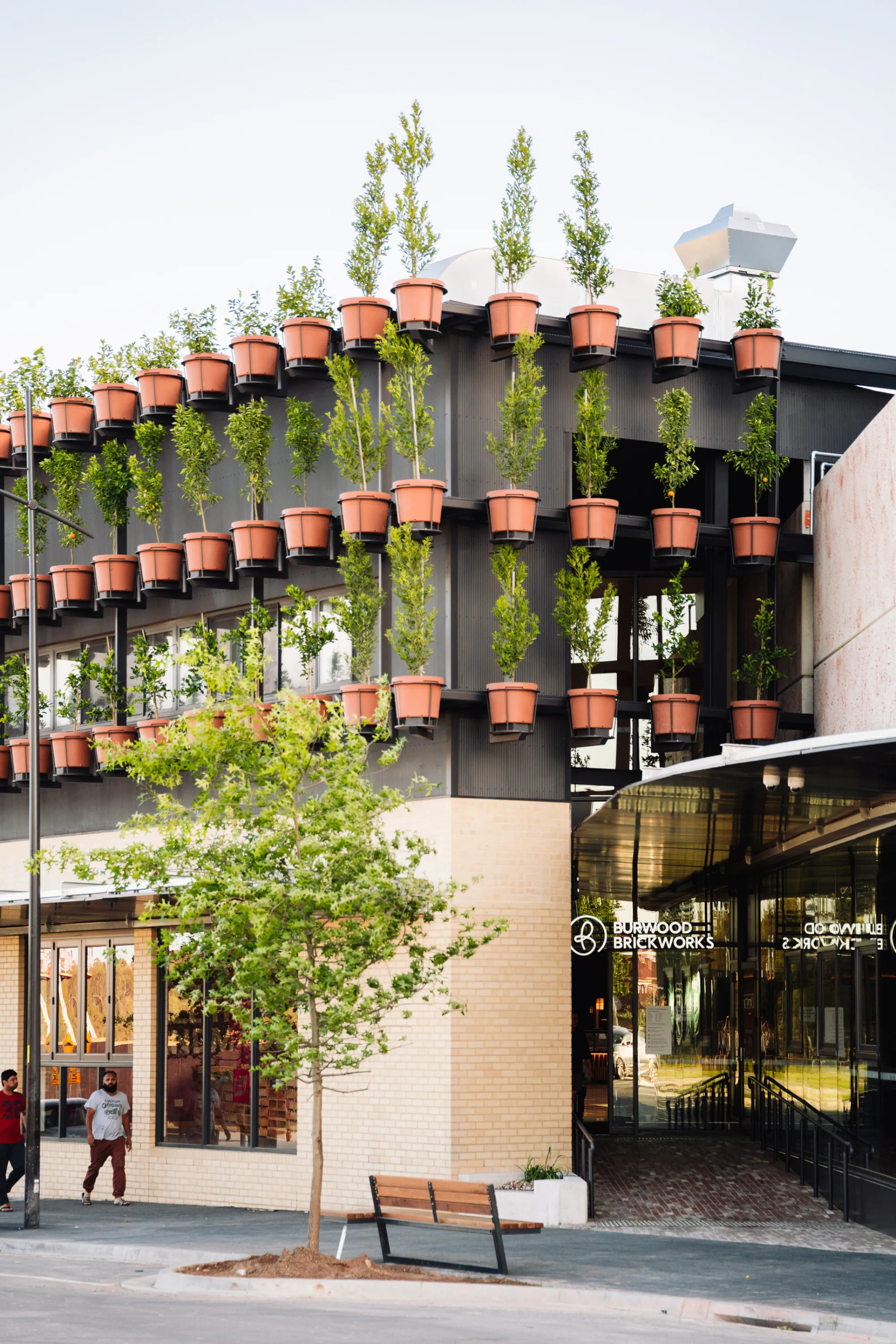 Exterior view of building surrounded by suspended potted trees.