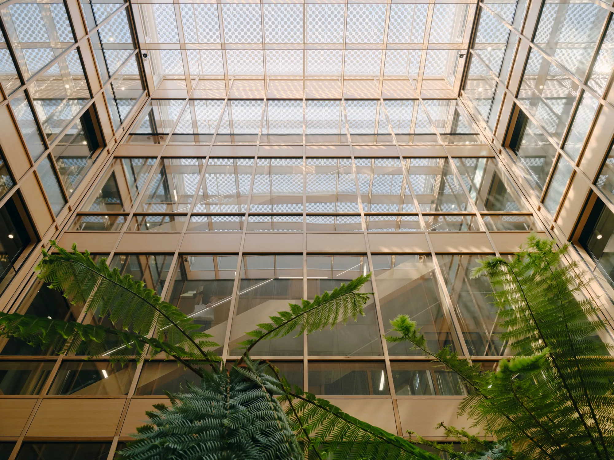 Centre for Higher Education Modern Atrium