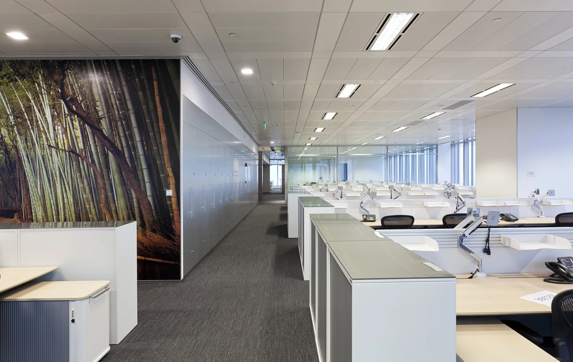 Carpeted main office area featuring pathway beside array of work desks and chairs