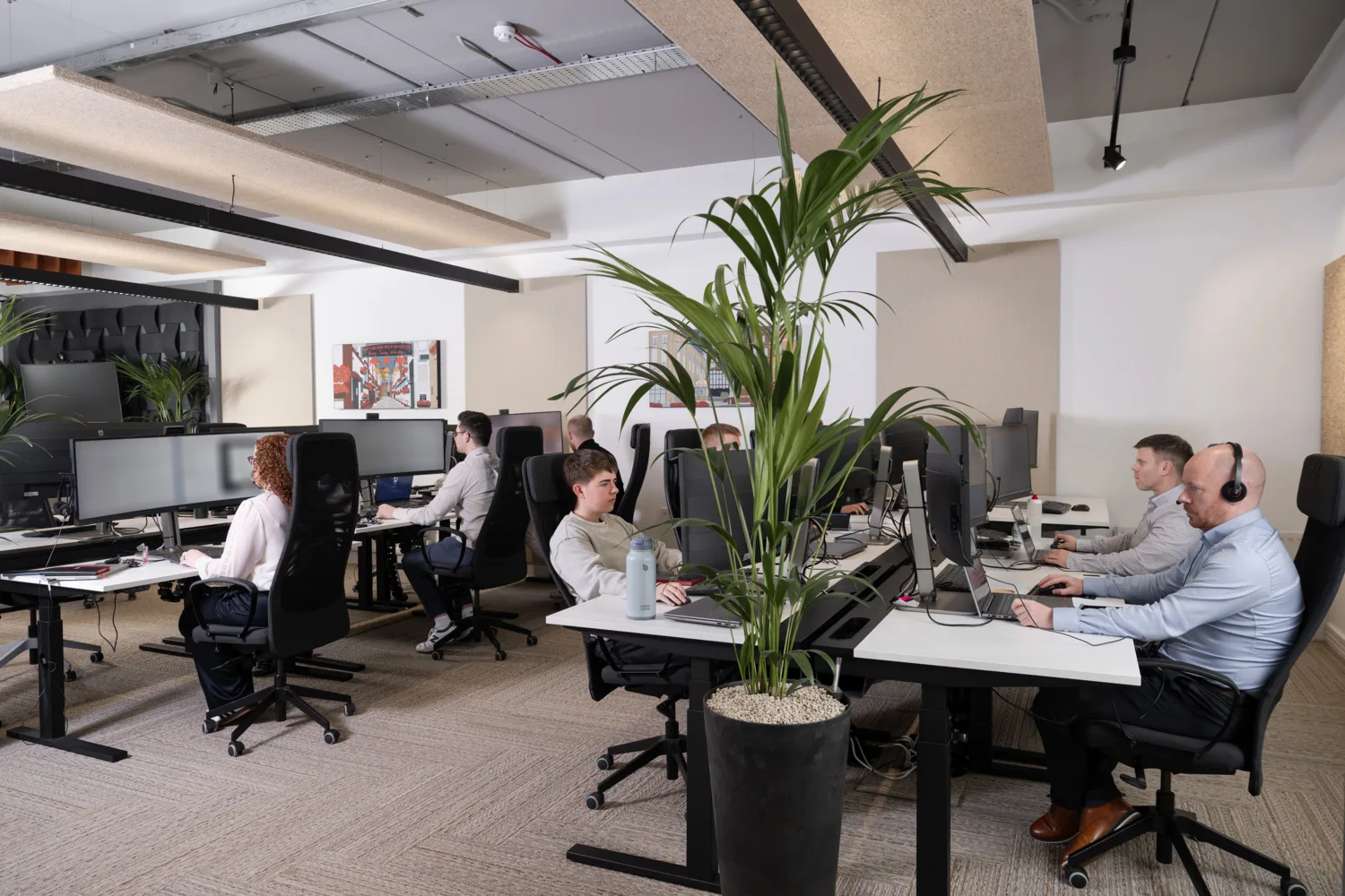 Open-plan office with many people seated at desks working on computers. Large black chairs, multiple monitors, and laptops are visible. A tall potted plant is in the center, with acoustic ceiling panels and light-colored walls in the background.