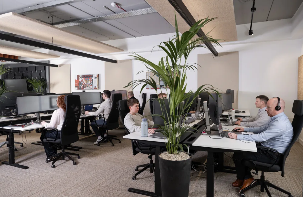 Open-plan office with many people seated at desks working on computers. Large black chairs, multiple monitors, and laptops are visible. A tall potted plant is in the center, with acoustic ceiling panels and light-colored walls in the background.