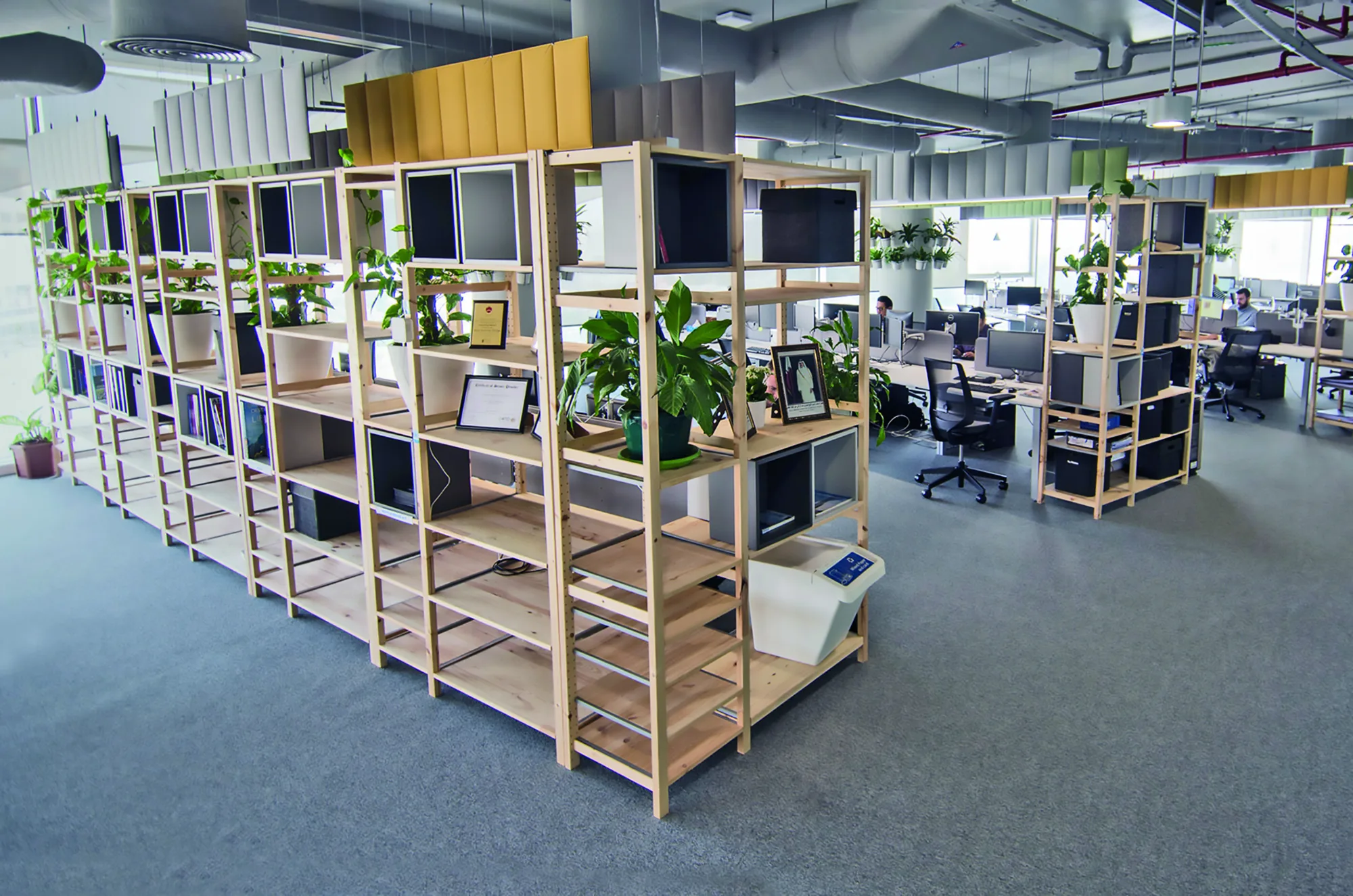 Day view of Cundall Qatar WELL workstations with plants and office shelves