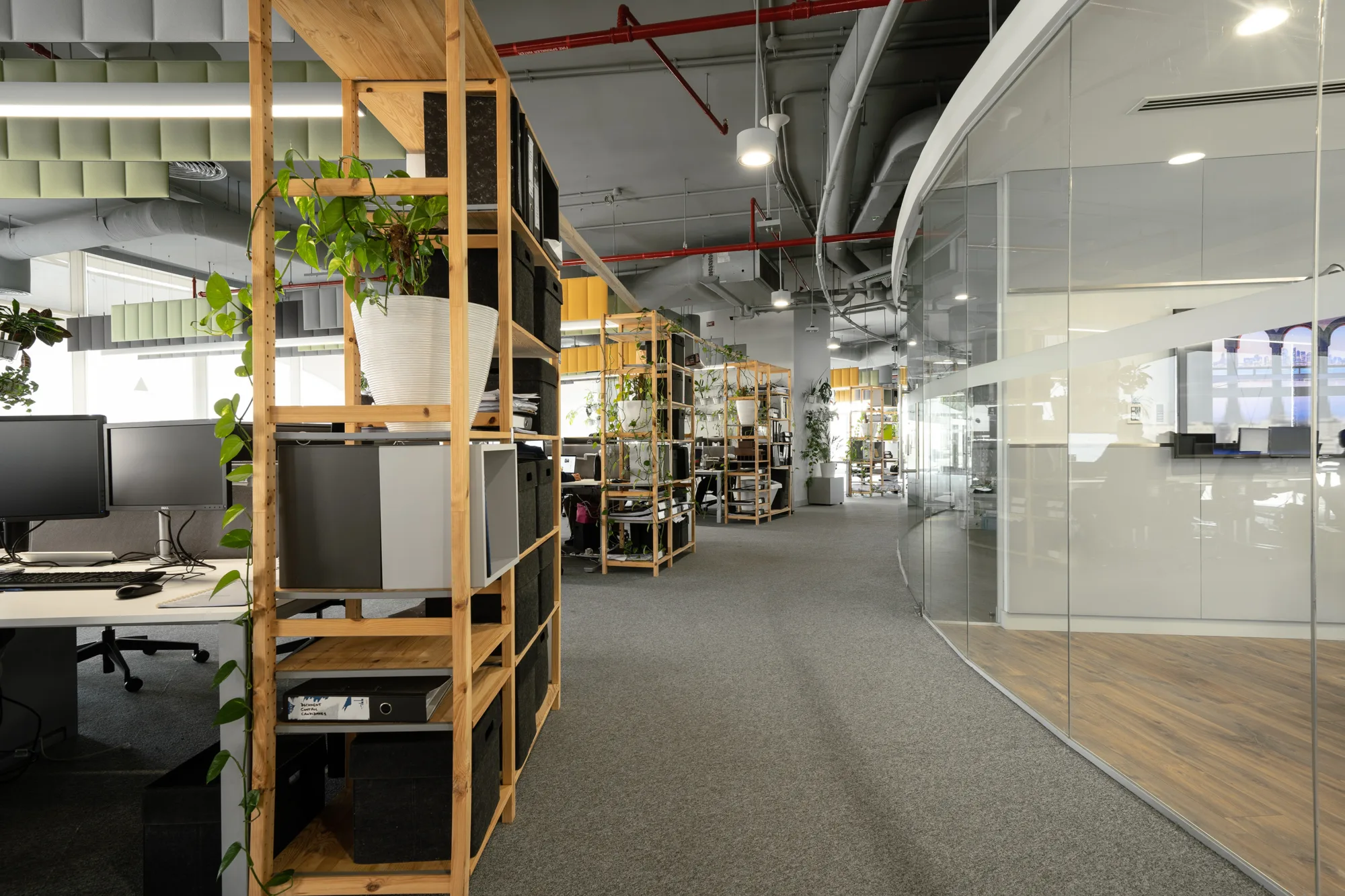 Cundall Qatar office pathway with wooden shelves