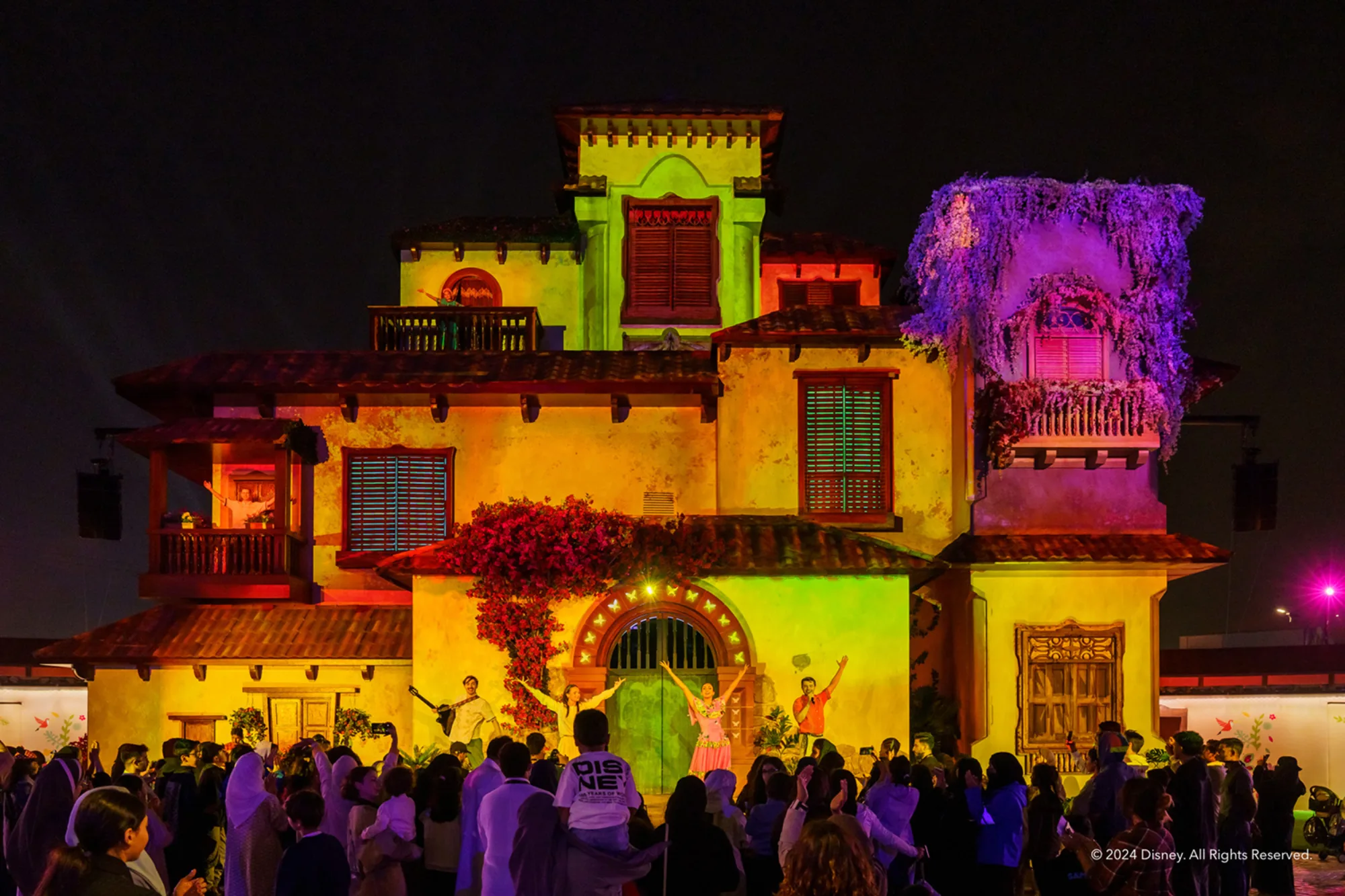 Encanto Disney night time show