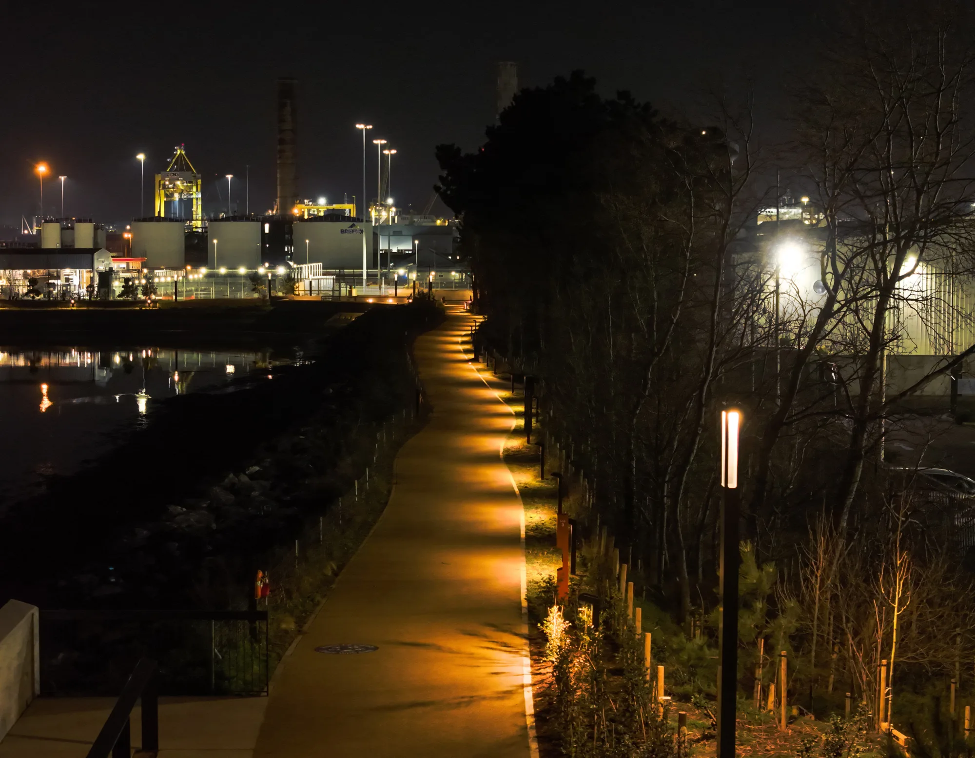 Tree lined Greenway at night illuminated by low level lighting