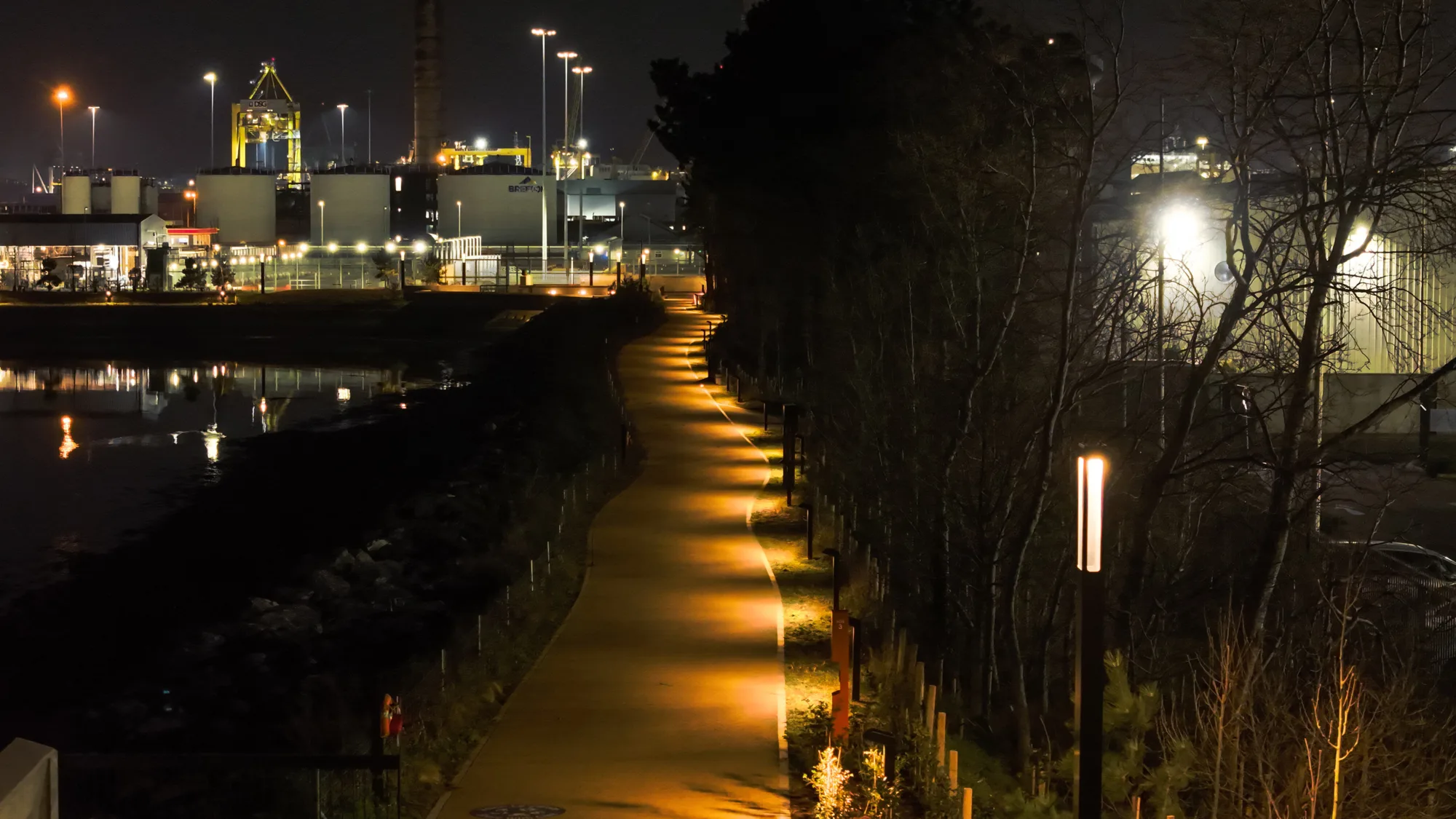 Tree lined Greenway at night illuminated by low level lighting