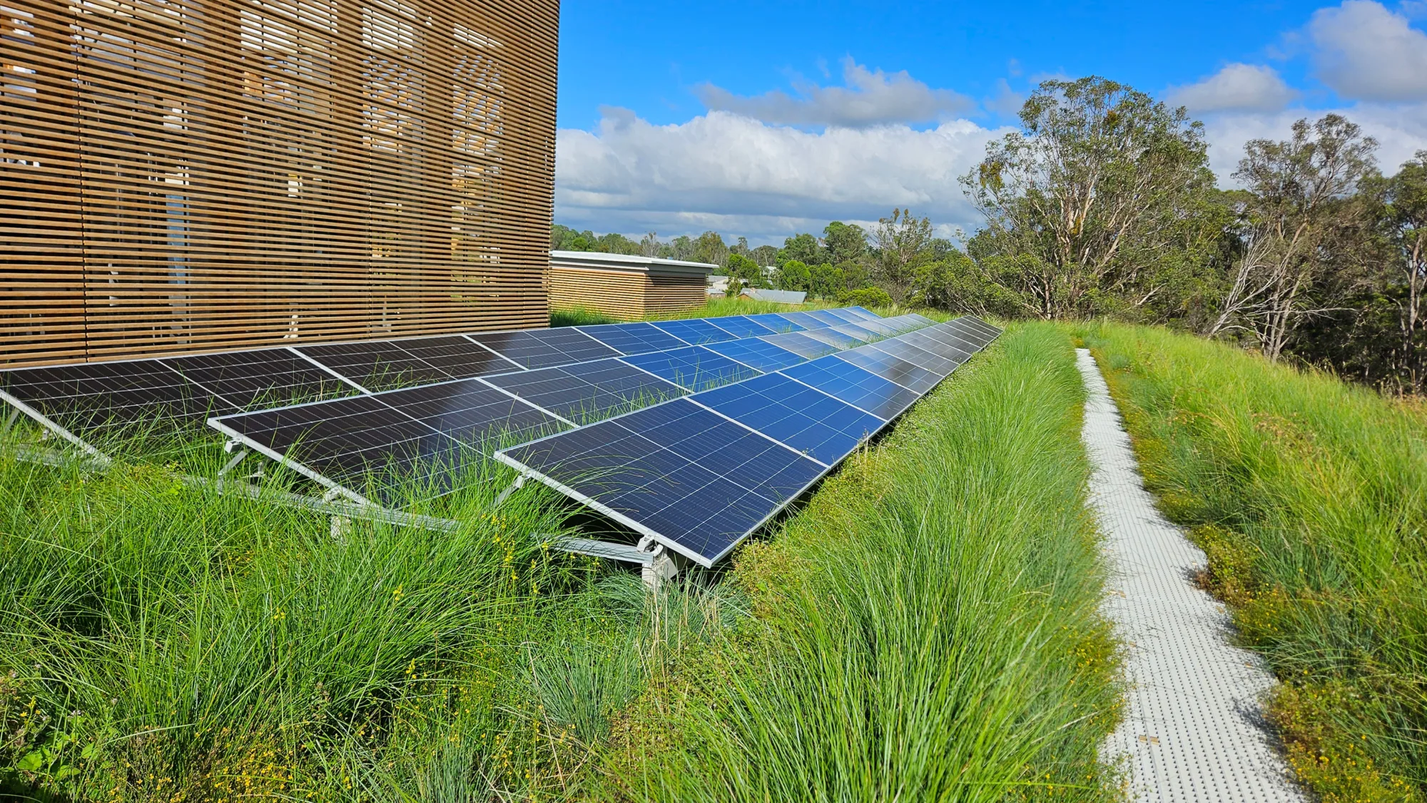 Photovoltaic panels alongside nature