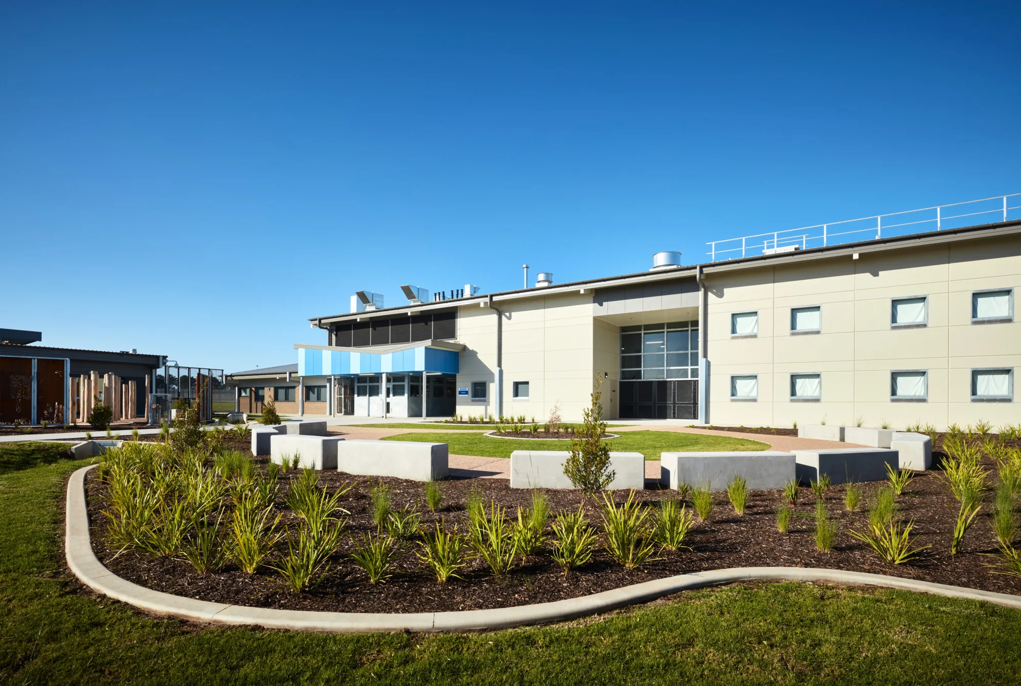 Freshly planted shrubs and trees in courtyard area.
