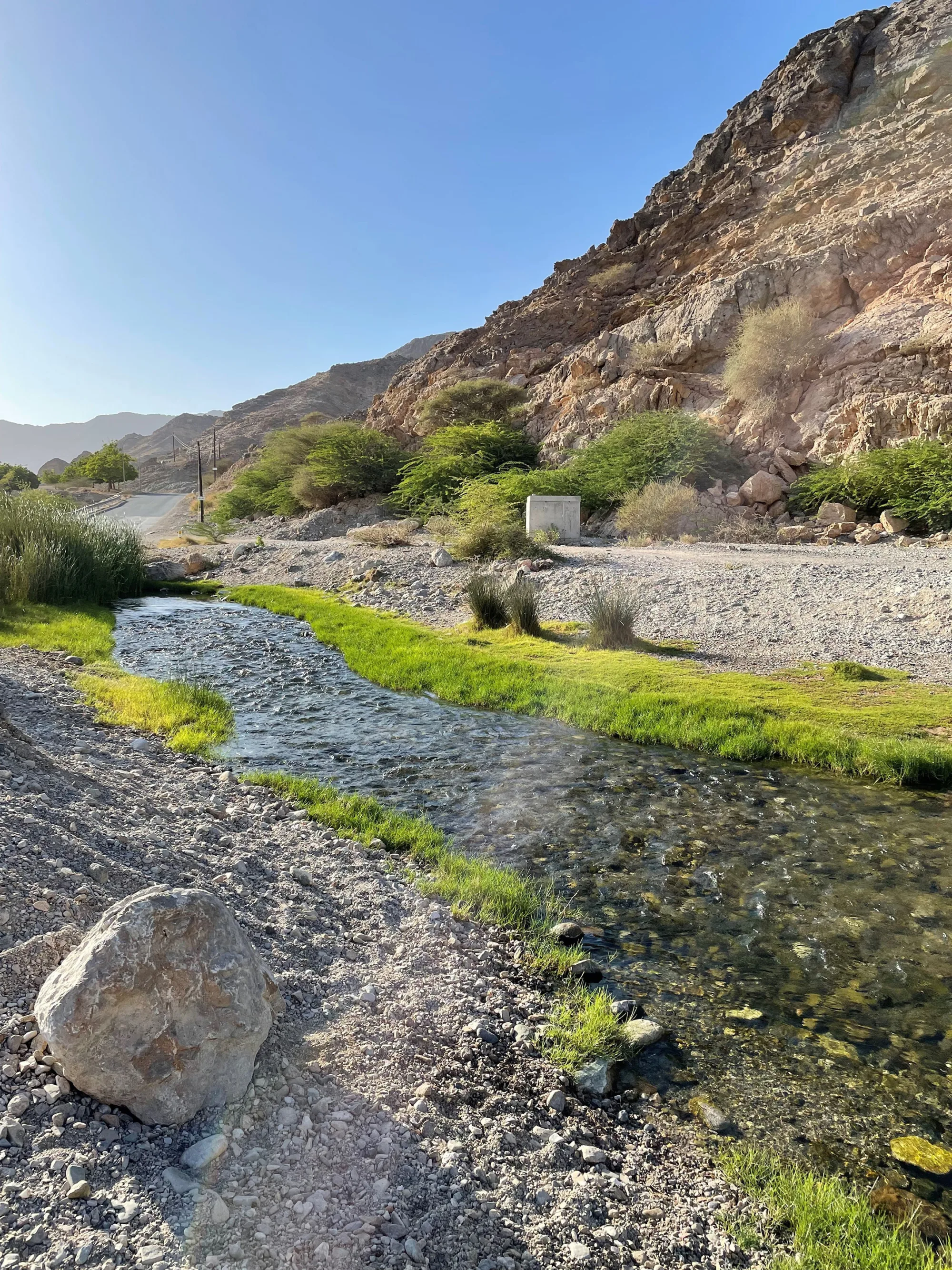 Stream of natural water with lush green bushes surrounding it.