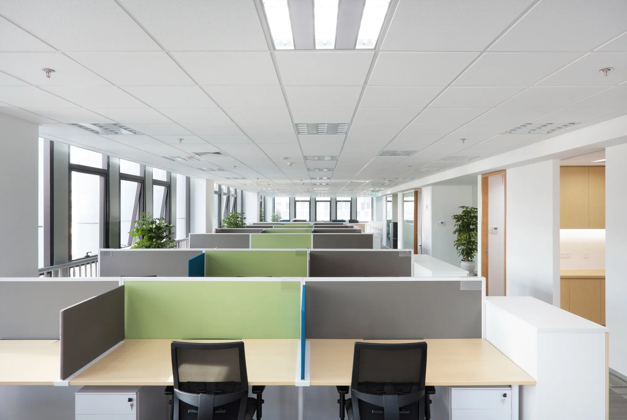 Brightly lit main office area featuring an array of work cubicles surrounded by windows allowing natural light to filter in