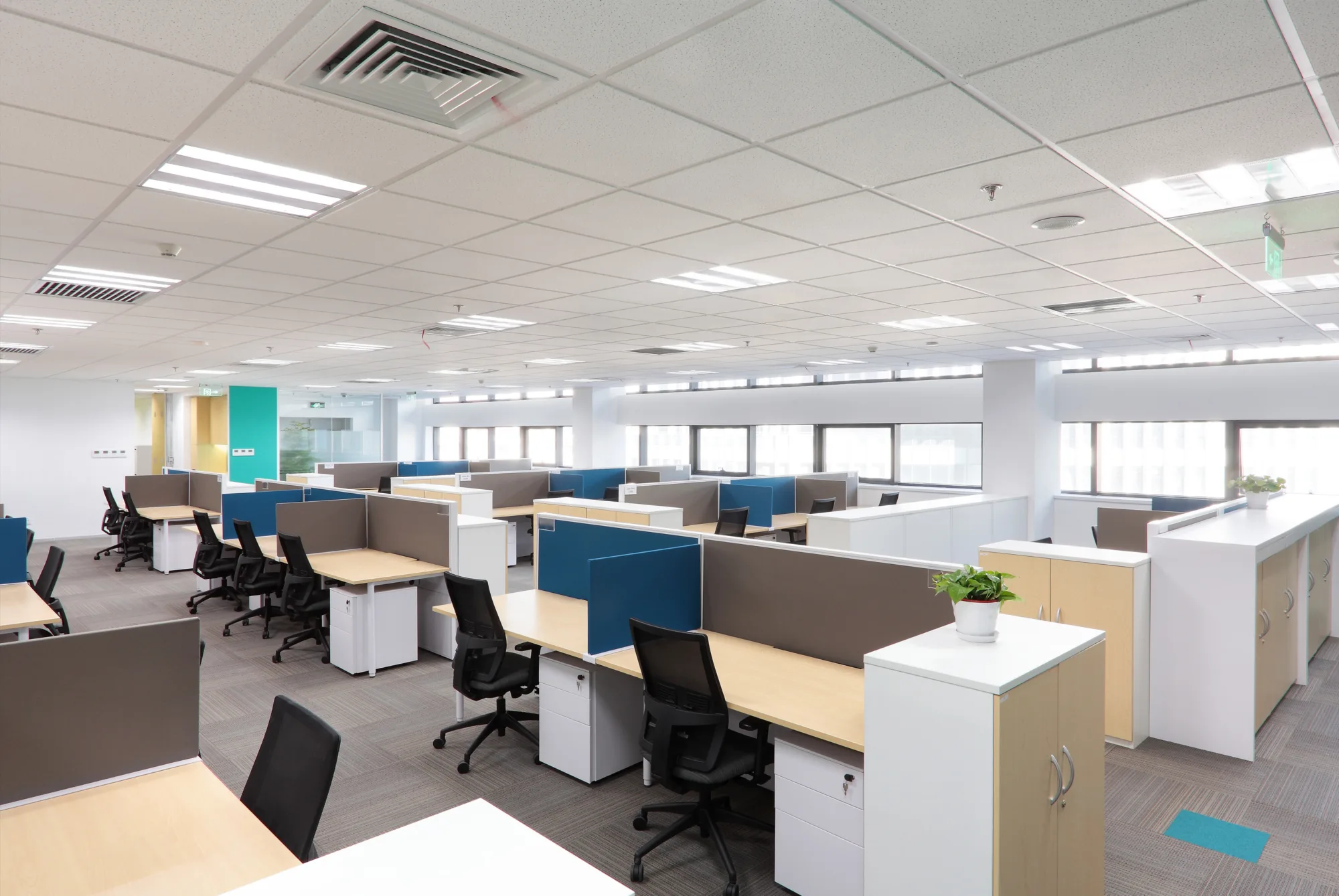 Brightly lit main office area featuring an array of work cubicles surrounded by windows allowing natural light to filter in
