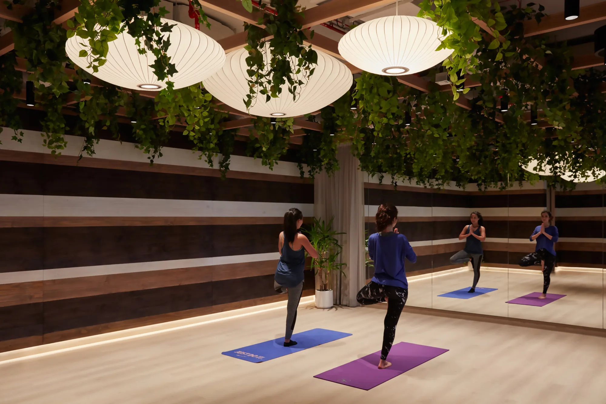 PWC Middle East health and well-being room with two girls doing a Yoga session while plants are hanging from the ceiling