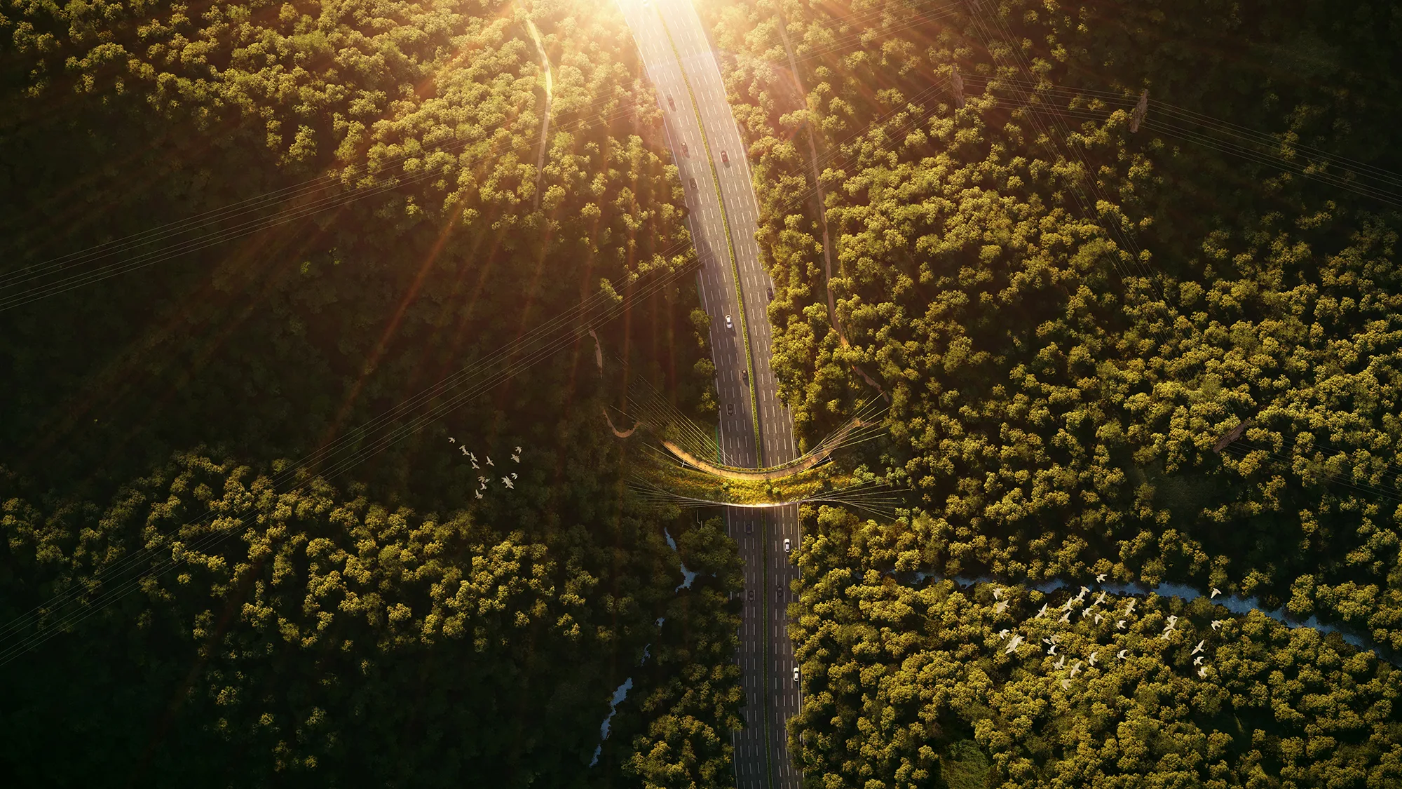 Observing the link between Meilin Mountain and Yinhu Mountain from a high angle point of view