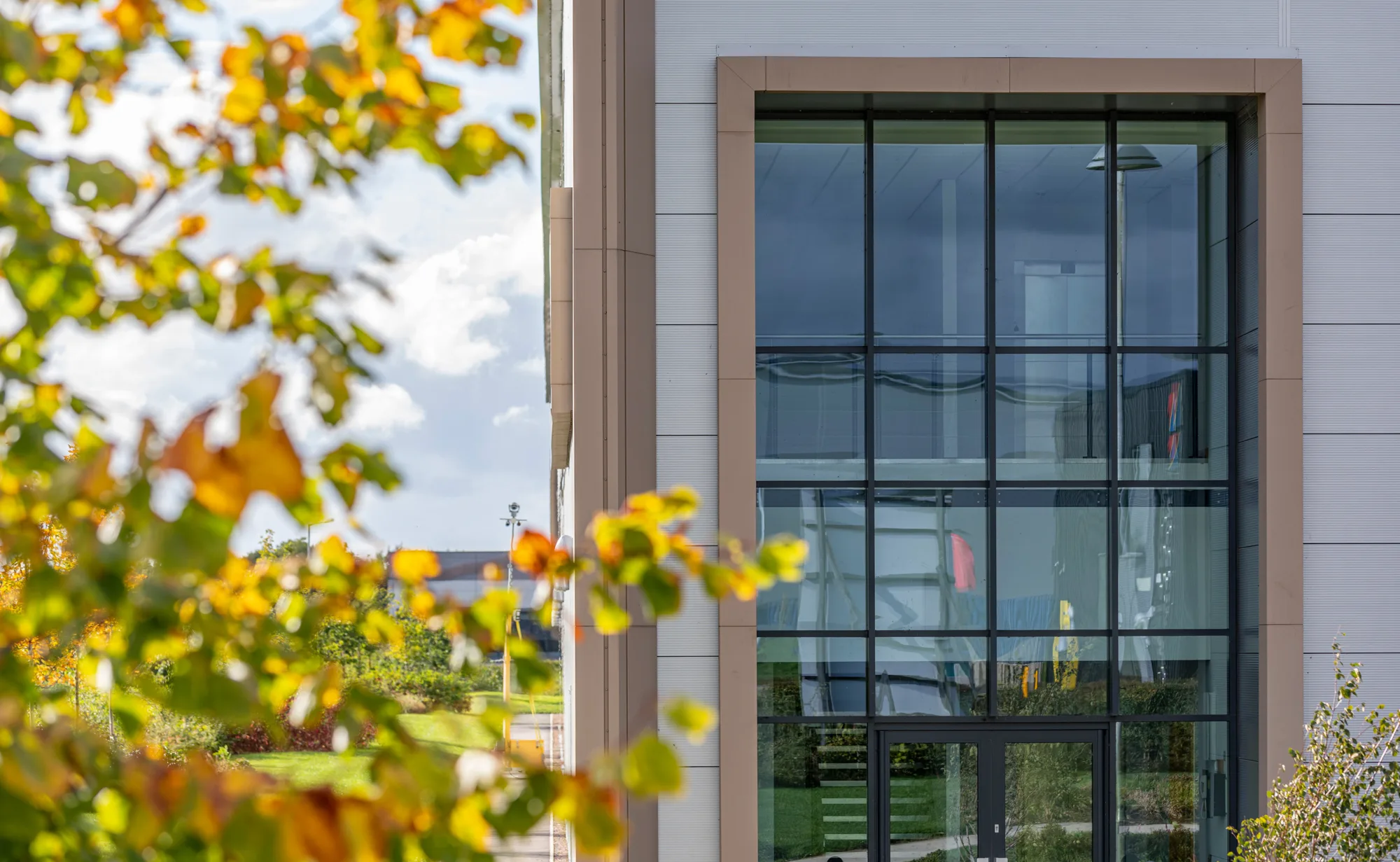 Modern building with large glass windows reflecting greenery and sky; foreground includes autumn-coloured leaves, blending natural elements with the urban setting.