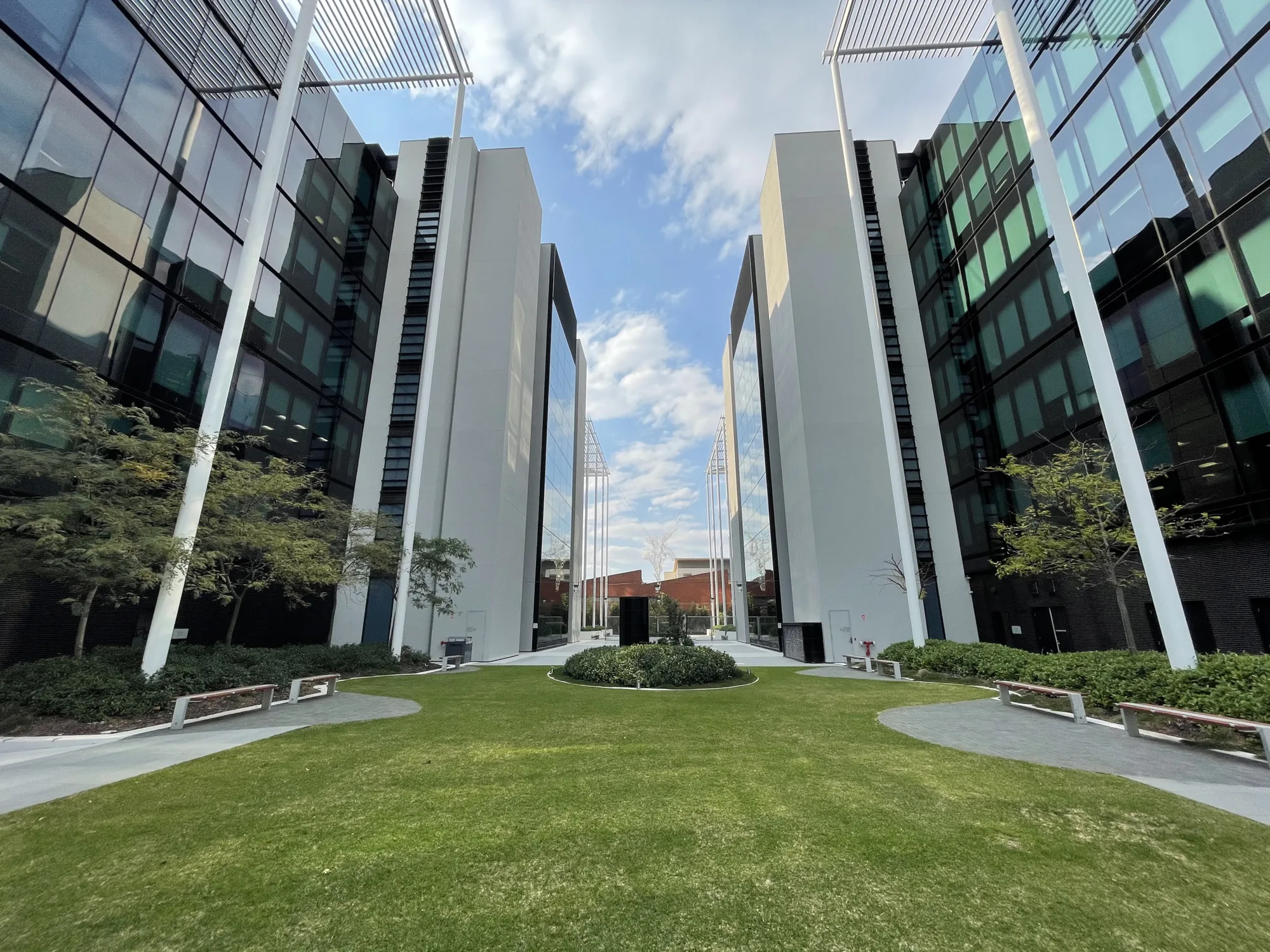 Grassy walkway beside building.