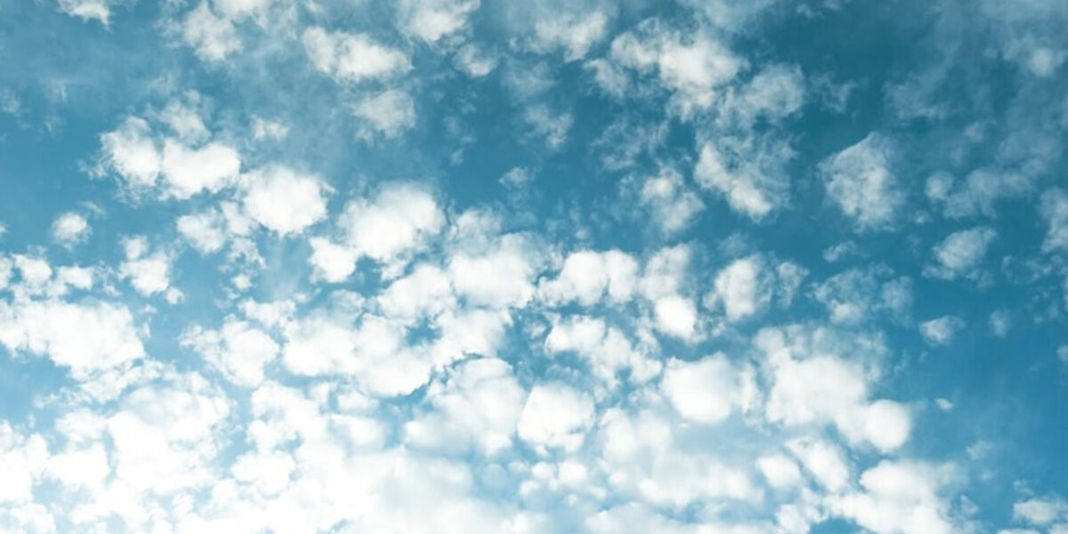 Clean Air Zones: Designing for the future? - Video - Cundall