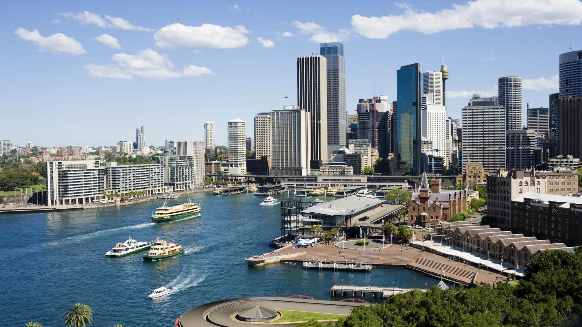 Tourist boats in the harbor with trees in the foreground and office blocks ion the background